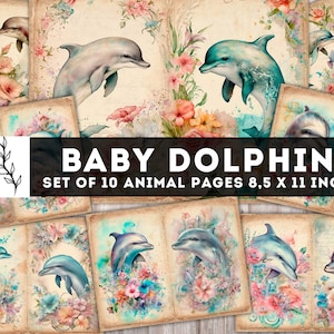 Baby Delfin Junk Journal Kit, Vintage Delfin Papier, digitale Journaling Seiten, Shabby Chic Tierseiten, Junk Journal Zubehör, Download