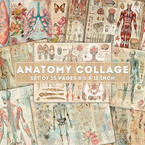 Collage de anatomía, Diario basura, Arte médico vintage, Motivos médicos vintage, Anatomía humana, Efímera, Elaboración de imprimibles, Descarga digital