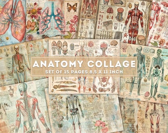 Anatomie Collage, Junk Journal, Vintage medizinische Kunst, Vintage medizinische Motive, Anatomie, Ephemera, Crafting Printables, DigitalDownload