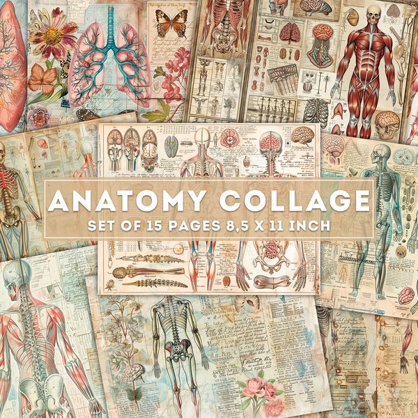 Anatomy Collage, Junk Journal, Vintage medical art, Vintage Medical Motifs, Human Anatomy, Ephemera, Crafting printables, DigitalDownload