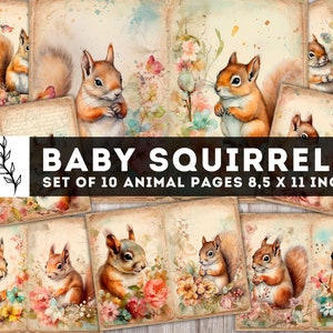 Baby Squirrels Junk Journal Kit, papier écureuil vintage, pages de journalisation numérique, pages d’animaux Shabby Chic, fournitures de journaux indésirables, télécharger