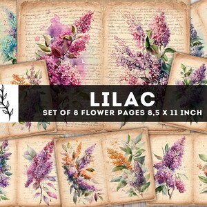 Kit de diario basura lila, suministros de diario basura, papel digital floral, hoja de collage de flores antiguas, páginas imprimibles de flores, descarga digital