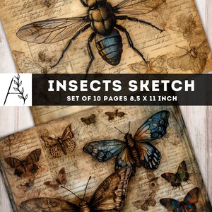 Insects Sketch Junk Journal Paper, Vintage Insects Paper, 10 JPG ...