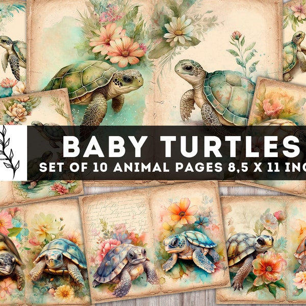 Baby Turtles Junk Journal Kit, Vintage Turtle Paper, Digital Journaling Pages, Shabby Chic Animal Pages, Junk journal supplies, Download