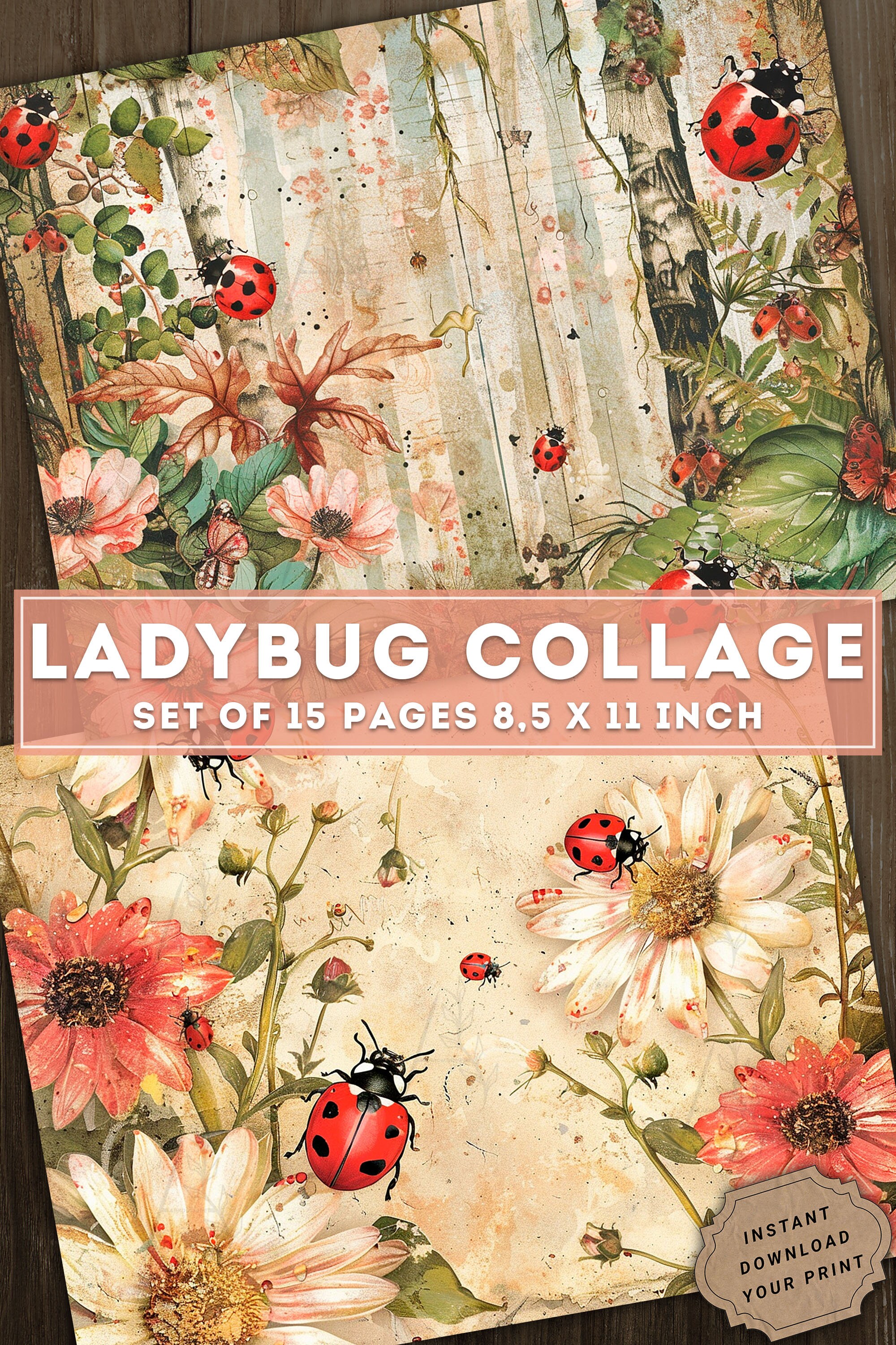 Ladybug Collage, Junk Journal Kit, Colorful Vintage Spring Paper, Cute ...