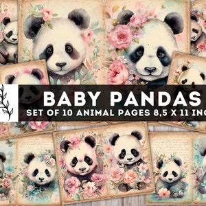 Baby Pandas Junk Journal Kit, Vintage Panda Papier, digitale Journaling Seiten, Shabby Chic Tierseiten, Junk Journal Zubehör, Download