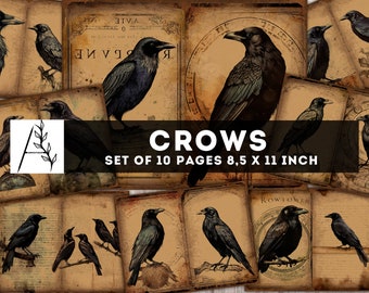 Crow Junk Journal kit, Witchy Raven Paper pack, 10 JPG Digital Pages, Halloween Junk Journal, Wizard Birds Printables, Mystic Ephemera