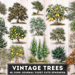 Vintage Bäume Ephemera Fussy Schnitte, 48 PNG Clipart Bundle + JPG, gealterte Wald Scrapbook-Elemente, Botanische, Digital Junk Journal Printables