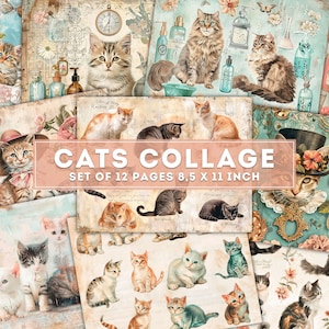 Feuille de collage chats, kit de journal indésirable pour chaton, pages de journal vintage, paquet de papier chats victoriens, éphémères, pages imprimables, téléchargement numérique
