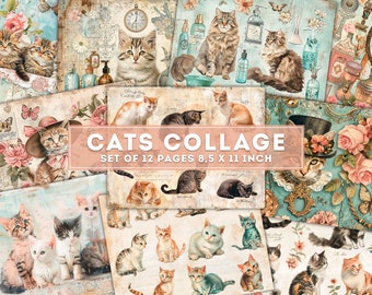 Puede incluir: Un collage de 12 páginas con ilustraciones vintage de gatos en varias poses y escenarios. Las páginas miden 8,5 x 11 pulgadas y presentan una variedad de colores, incluyendo rosa, azul y verde.