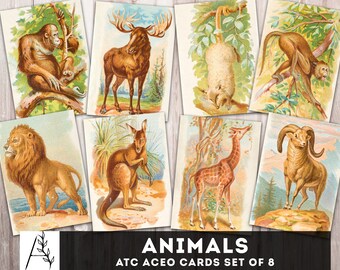 Exotic Animals ATC ACEO Cards 2.5” x 3.5” Junk Journal lion giraffe kangaroo Cards Scrapbooking Digital Collage Sheet Digital Download