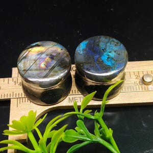 May include: Two round, polished labradorite plugs with iridescent blue, green, and yellow flashes. The plugs are set on a metal ruler, showcasing their size and detail. The plugs are for ear piercings.