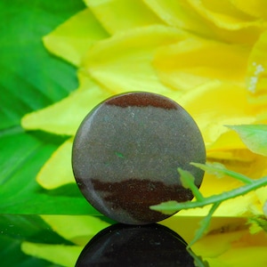 Stone Plugs Gauges - Natural Noreena Jasper Plugs - Double Flare Body Jewelry for Stretched Ears - Natural Organic (Pair)