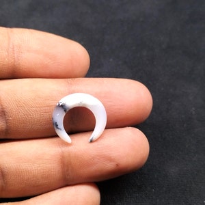 Peut inclure: Une pièce d'opale en forme de croissant de lune blanche et noire, probablement pour la fabrication de bijoux.