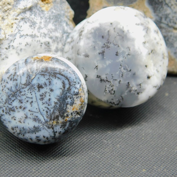 Dendrite Opal Stone Plugs - Gauges - Double Flare Body Jewelry for Stretched Ears -  (Pair) gauges Size 6g  to19/16''(40mm)