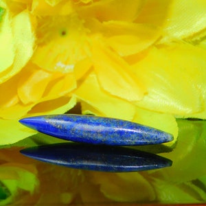 Natural  lapis lazuli Septum Spike,Tusk , Tribal Septum, Septum pincher jewellery,handmade Gauges Size : 2mm to 10mm & Custum size your