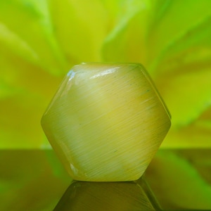 PAIR of Stunning  yellow Cats Eye Double Flared  Organic Stone Plugs - Gauges 8g to 38mm available