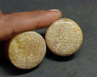 Fossil Coral Stone Plugs, Double Flare, Natural Stone Gauges