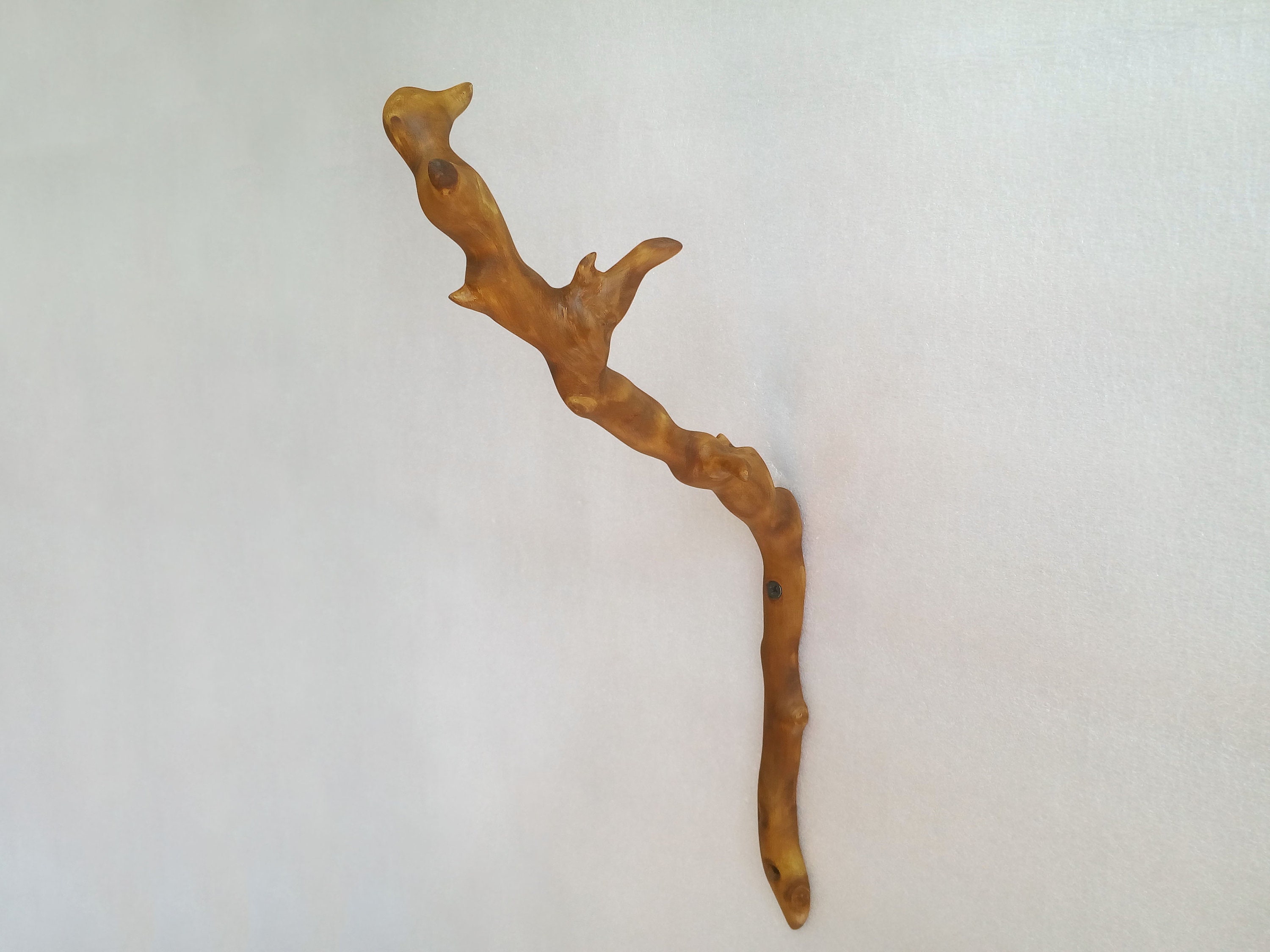 Unique Tree Branch Wall Hook for Hanging Light Rustic Hook Etsy
