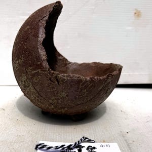 May include: A brown, crescent-shaped ceramic planter with a rough, textured surface. The planter has a large opening and sits on three small feet. The interior is a darker shade of brown.