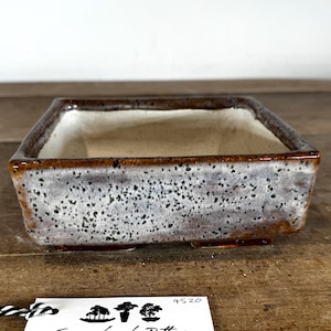 May include: A square ceramic bonsai pot with a speckled white and grey glaze on the exterior sides and a smooth cream-coloured interior. The rim and base feature a dark brown, glossy glaze finish. The pot has four small feet at the bottom corners.