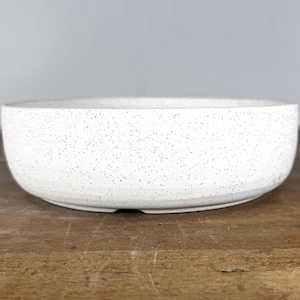 May include: A shallow, round ceramic bowl featuring a white base colour with a fine black speckled pattern throughout the exterior surface. The bowl has a smooth, uniform rim and a flat base, presenting a clean, simple design for serving food.