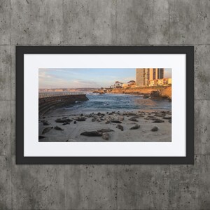 Framed and Matted Black and White Photo Seals at Children&#39;s Beach La Jolla COA Signed by Artist