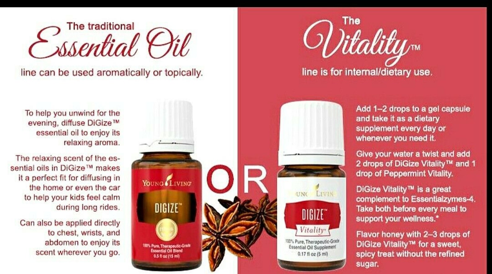 Digize Vitality Young Living Essential Oil 5 Ml Etsy