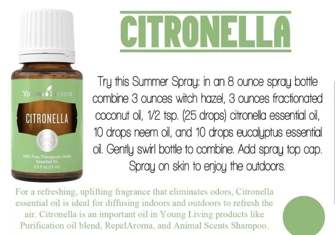 Citronella Young Living Essential Oil 15ml Etsy