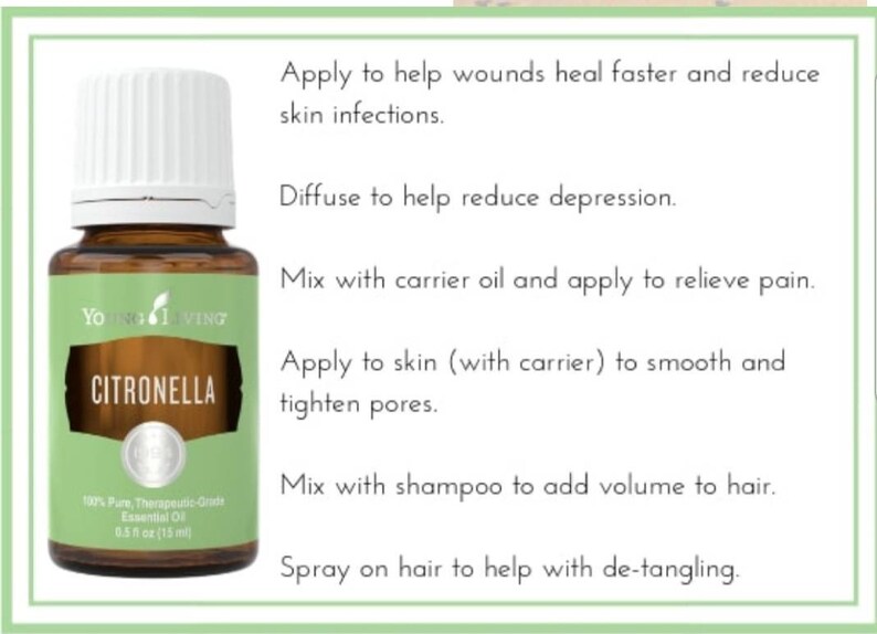 Citronella Young Living Essential Oil 15ml Etsy