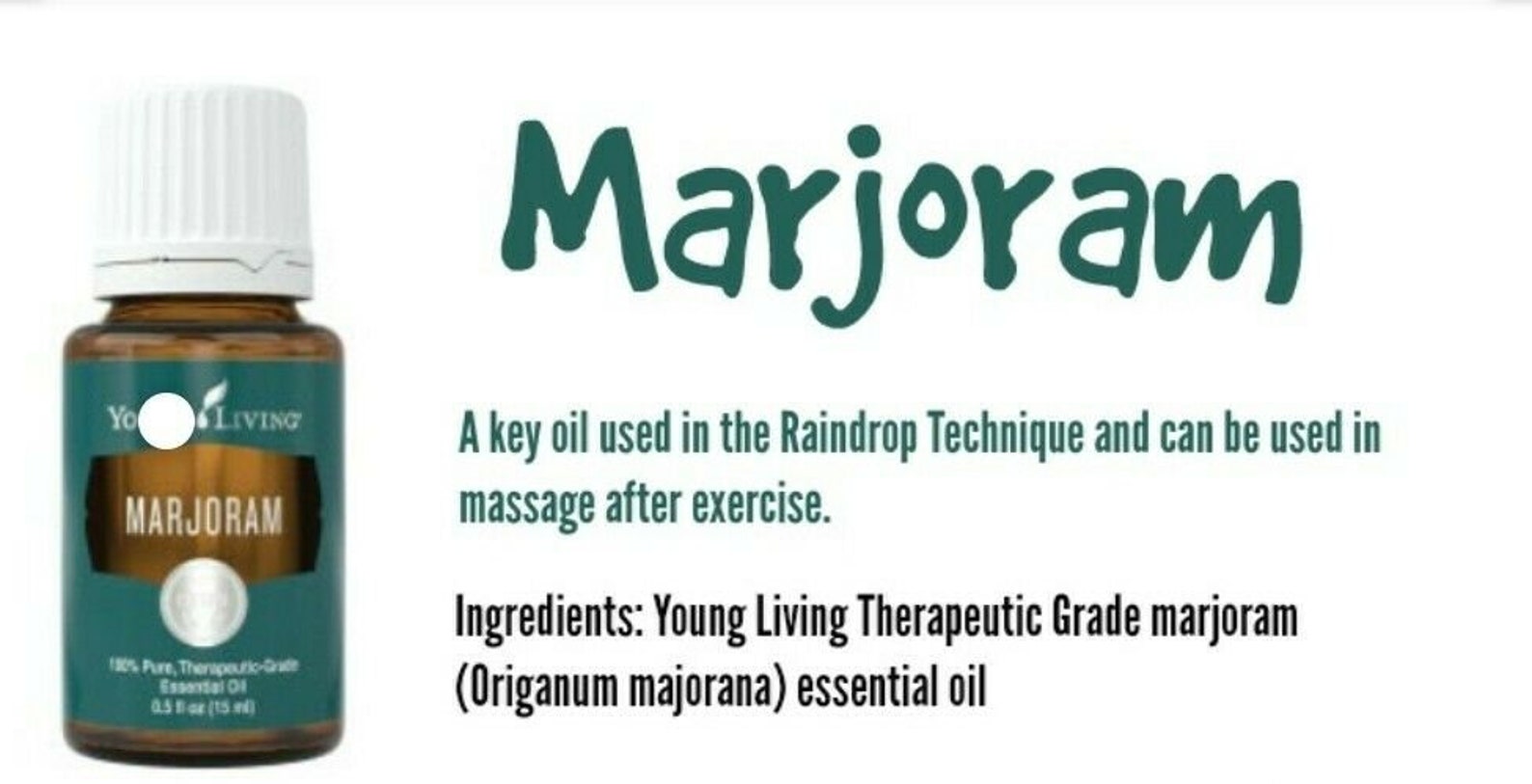Marjoram Young Living Essential Oil 15 Ml Etsy