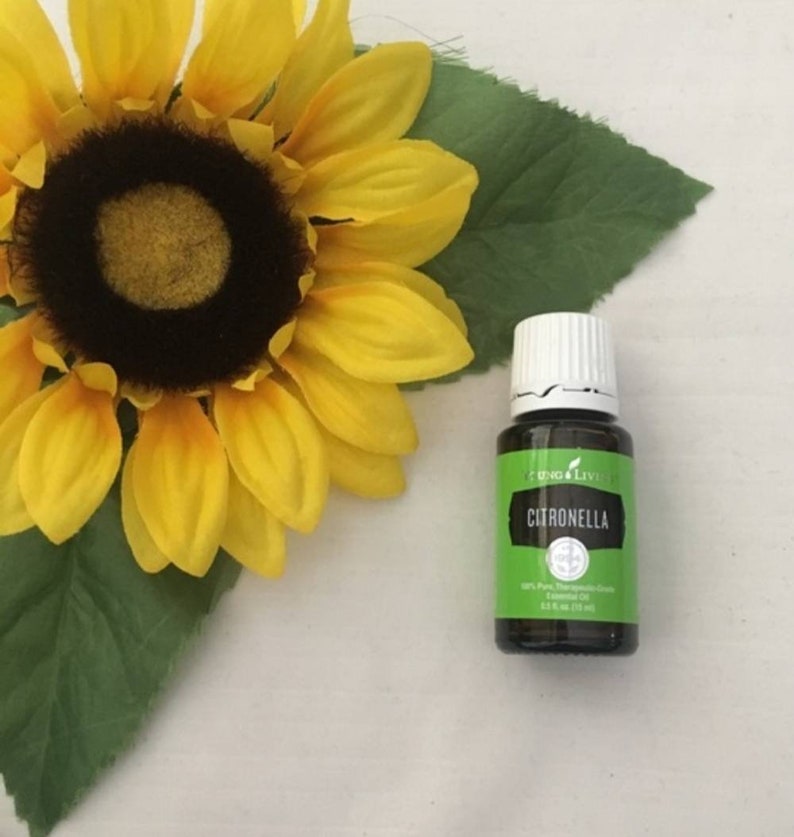 Citronella Young Living Essential Oil 15ml Etsy