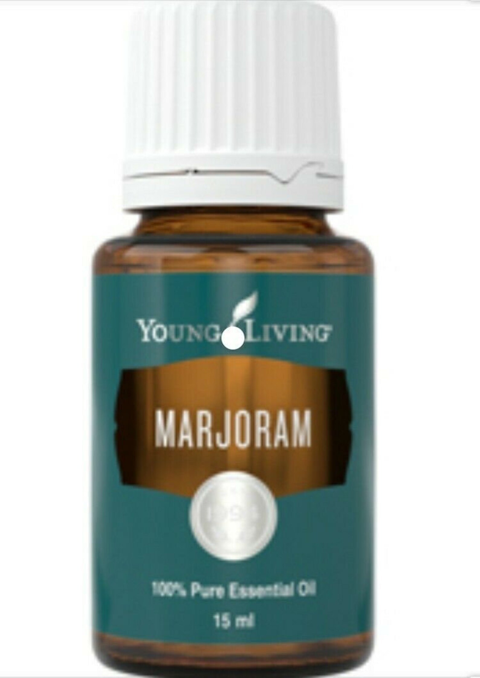Marjoram Young Living Essential Oil 15 Ml Etsy
