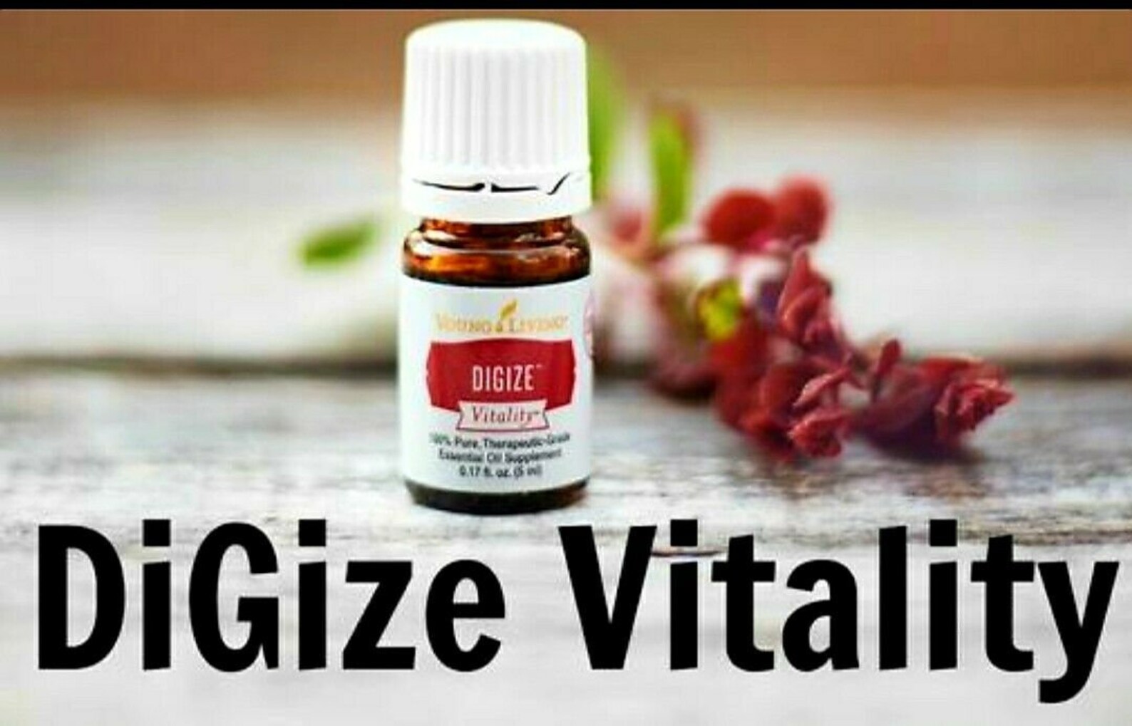 Digize Vitality Young Living Essential Oil 5 Ml Etsy