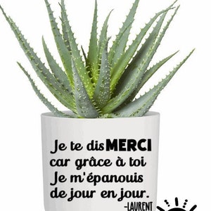 Idées cadeaux personnalisable pour professeurs/enseignants/ décalques pot plante