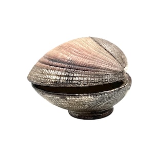 Hollywood regency shell and silver jewelry box, Italy 1970s