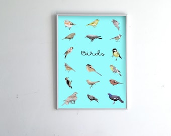 manifesto dell'uccello