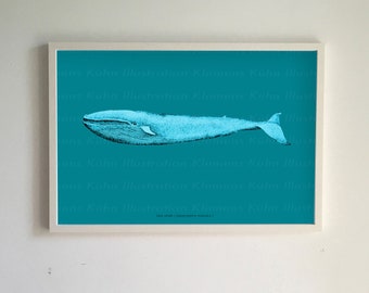 Blue Whale (Print)