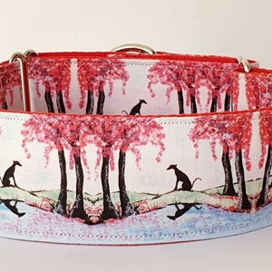 A 'Reflections' Full Martingale Greyhound Sighthound Whippet Lurcher Collar