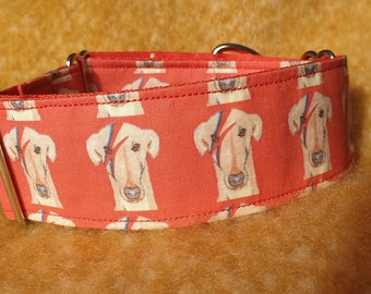 Ziggy Pattern 50mm Martingale Greyhound Sighthound Whippet Lurcher Collar