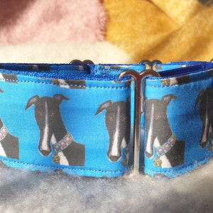 Comedy George Pattern , 50mm Martingale Greyhound Sighthound Whippet Lurcher Collar