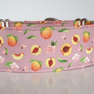 Peaches 50mm Full Martingale Collar