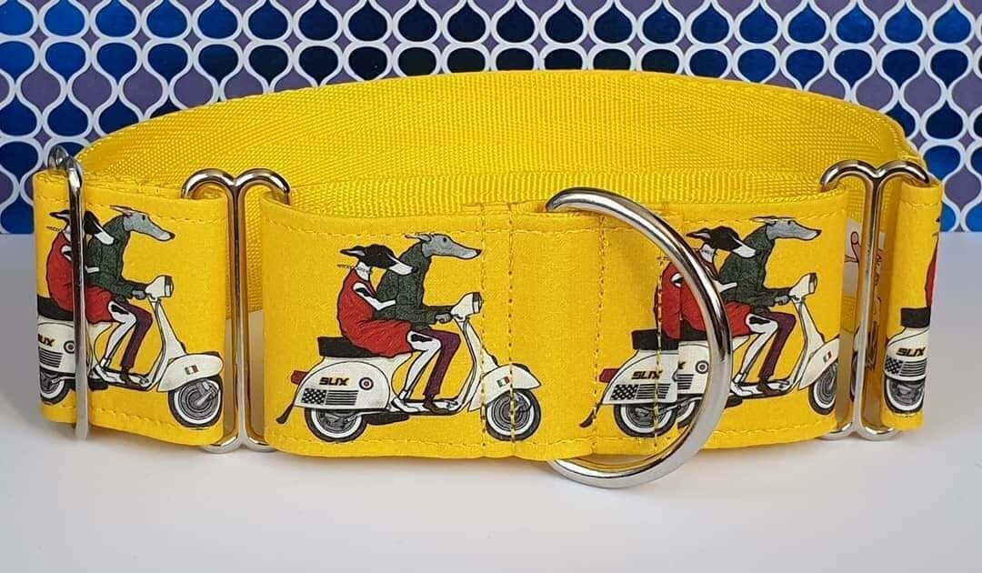 brighton dog collar