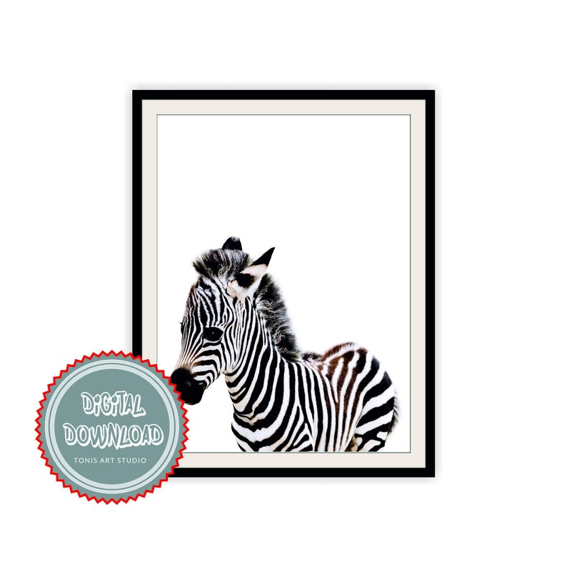 Zebra Wall Decor Print Baby Room Art Kids Printable Digital Bedroom
