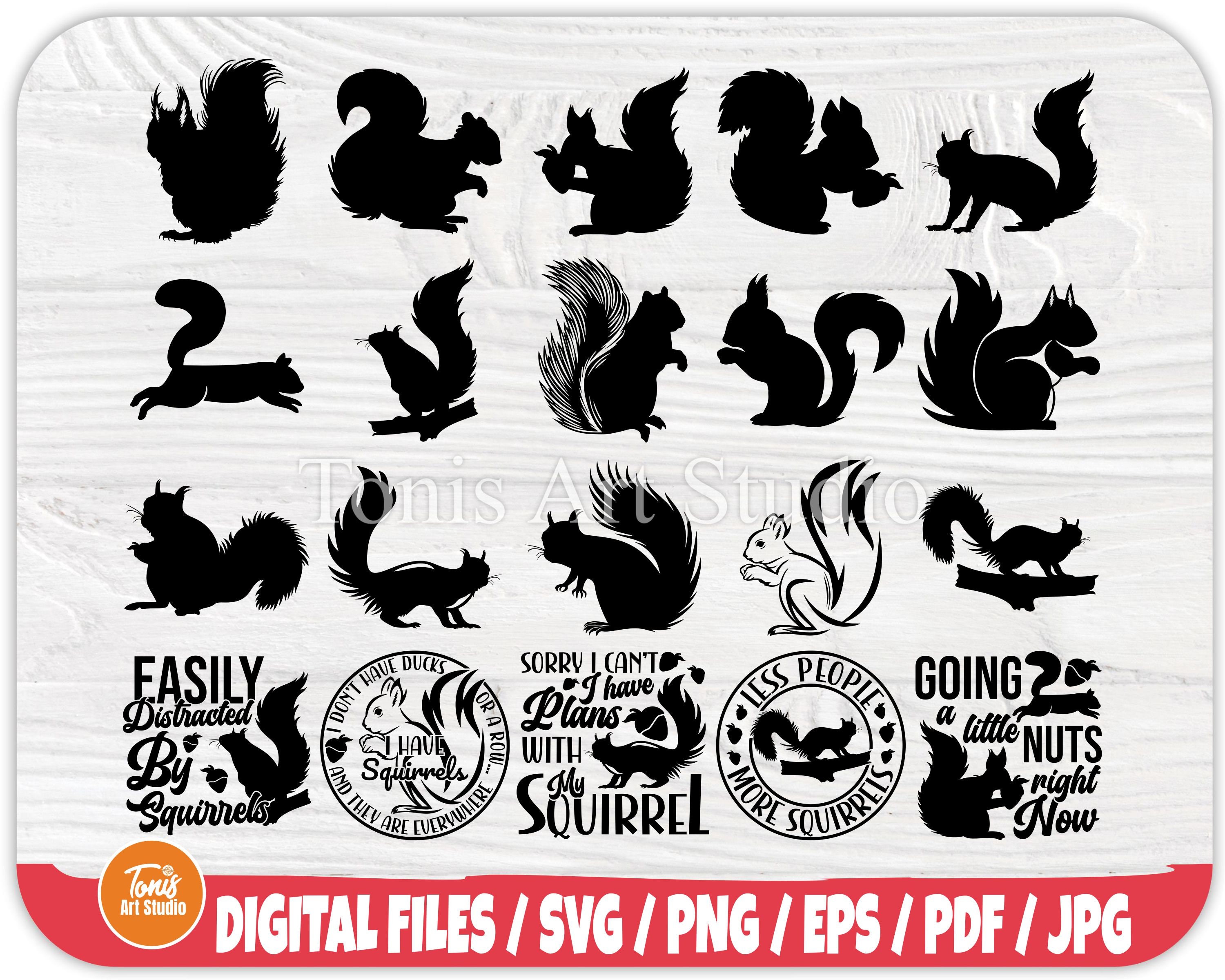 Squirrel Svg Squirrel Silhouette Squirrel Clipart Vector Etsy