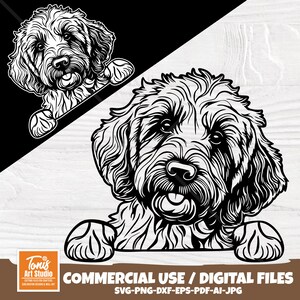 Mirando Goldendoodle Svg, Perro mirando SVG, Labradoodle Svg, Cara Linda Svg