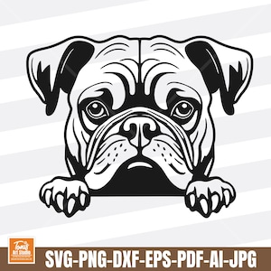 Französische Bulldogge - Spähende Pfoten - Süßes Hundegesicht - Hunderasse - Tier Haustier Welpe - SVG PNG Clipart Vektor - Cricut Schnitt Schneiden