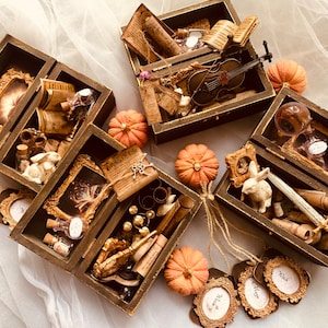 Miniature Witch Craft Kit, Wiccan Box with Bottles, Books, Charms, and Magical Tools, Wooden Witch Box for Magic Room Decor