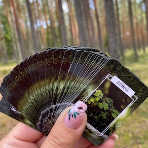 Forest Soul Mini Lenormand-kaarten, 40 Lenormand-orakelkaarten