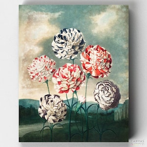 Premium Paint by Numbers Kit - Group of Carnations - Robert John Thornton - Canvas by Numbers